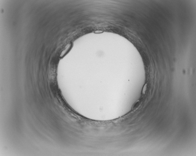 X0000052610033200507292200