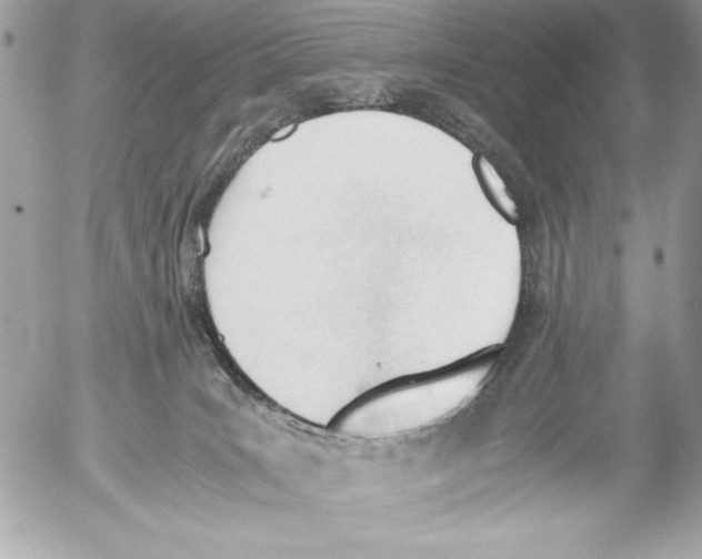 X0000052610035200507292200