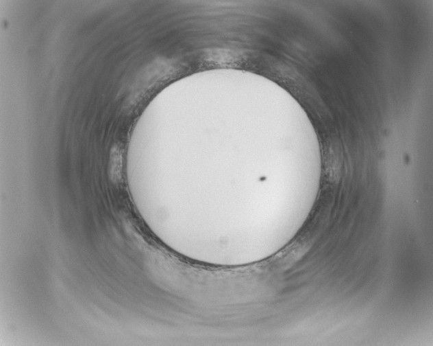 X0000052610036200507292200