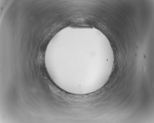 X0000052610037200507292200