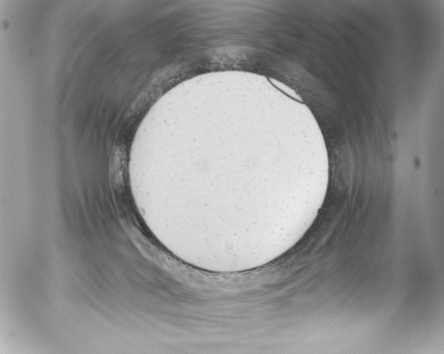 X0000052610038200507292200