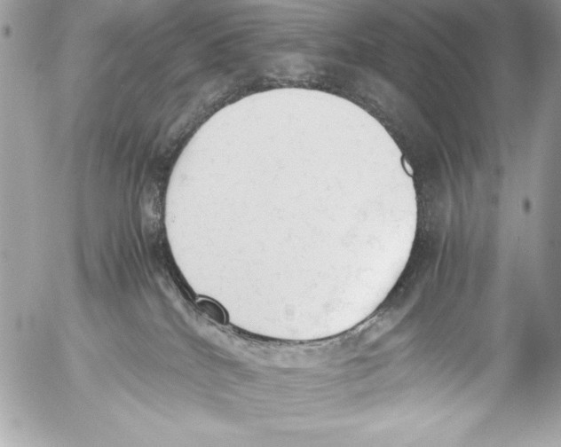 X0000052610040200507292200