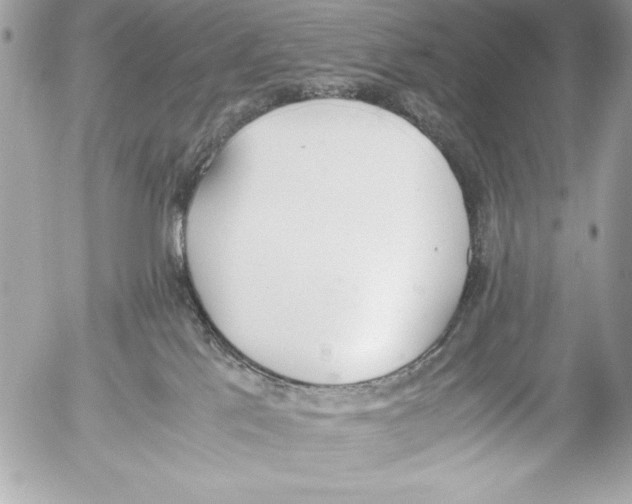 X0000052610041200507292200