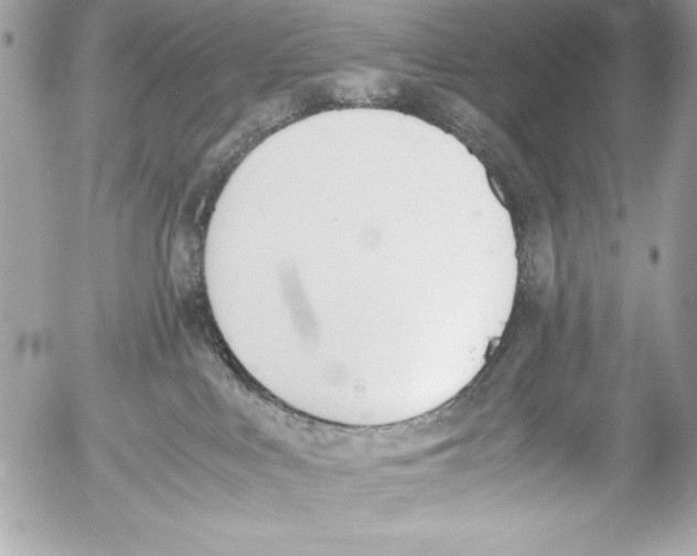 X0000052610043200507292200