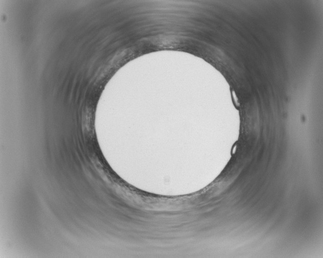 X0000052610044200507292200