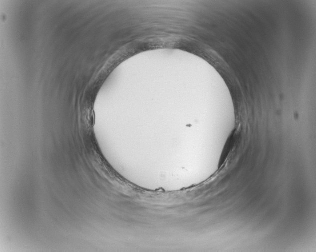 X0000052610045200507292200