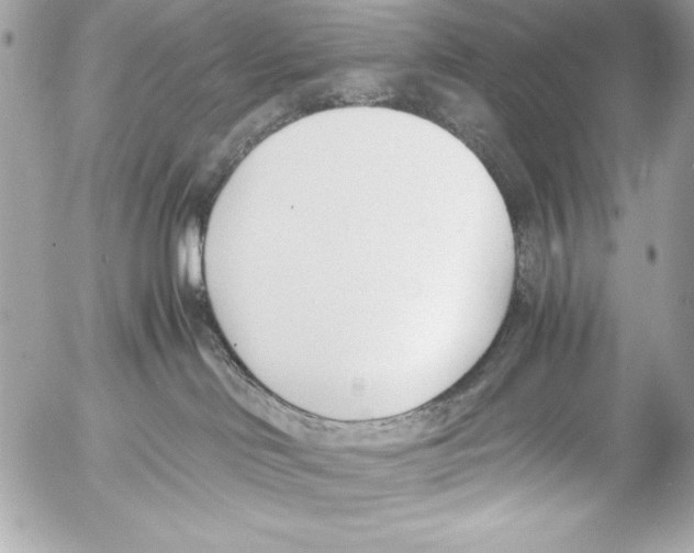 X0000052610046200507292200