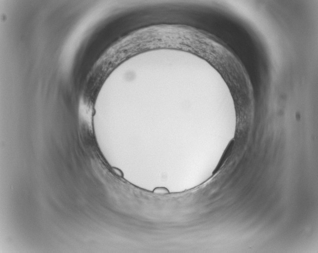 X0000052610047200507292200