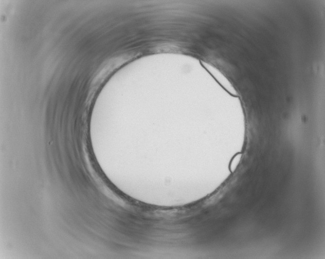 X0000052610049200507292159