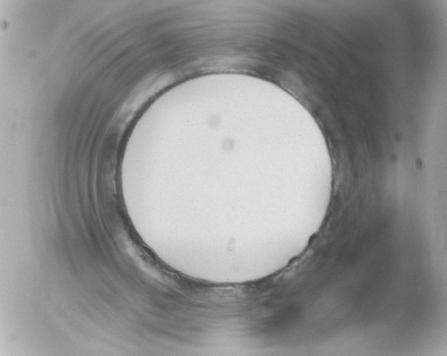 X0000052610050200507292159