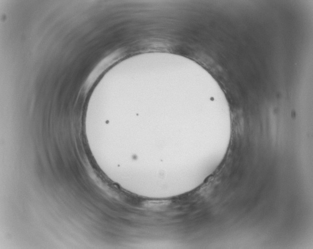 X0000052610051200507292159