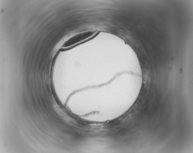 X0000052610052200507292159