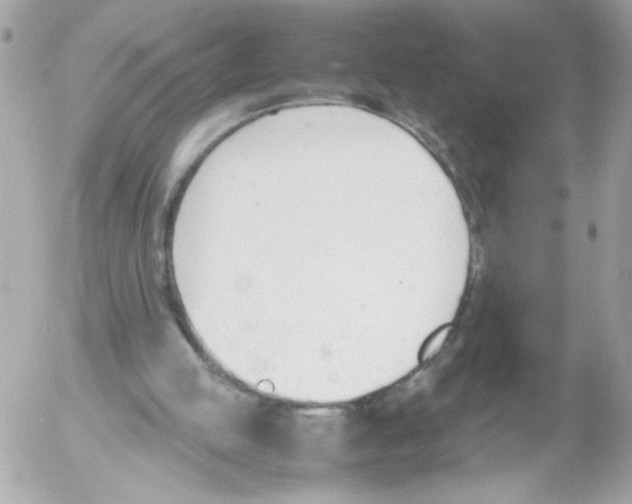 X0000052610053200507292159