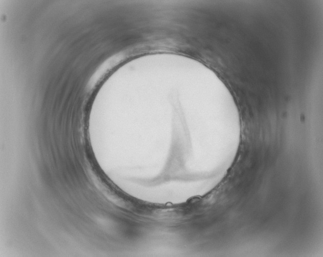 X0000052610054200507292159