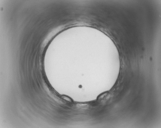 X0000052610055200507292159