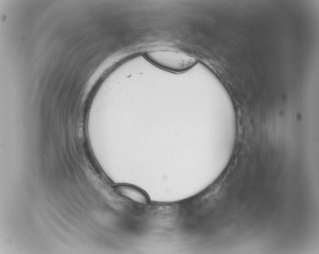 X0000052610056200507292159