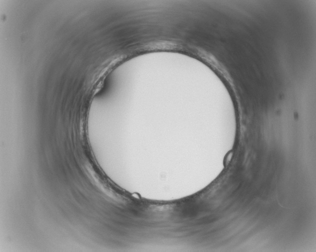 X0000052610057200507292159