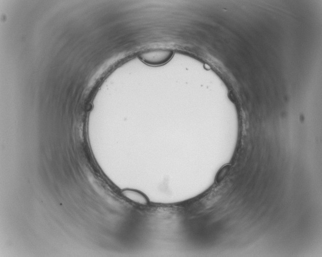 X0000052610060200507292159