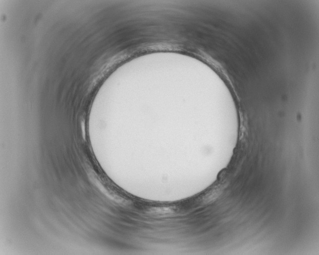 X0000052610061200507292159