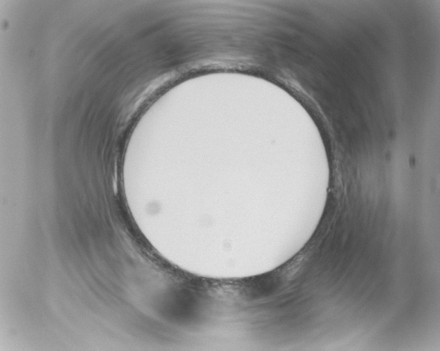 X0000052610062200507292159