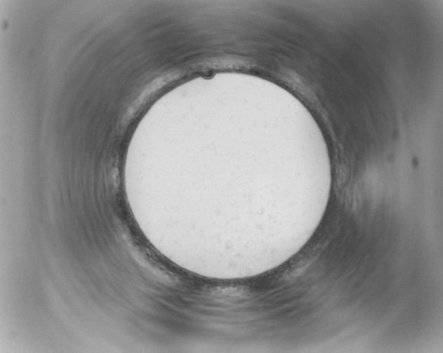 X0000052610063200507292159