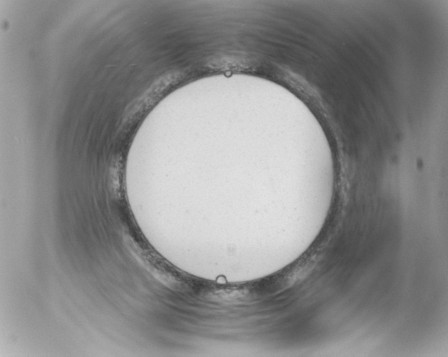 X0000052610065200507292159