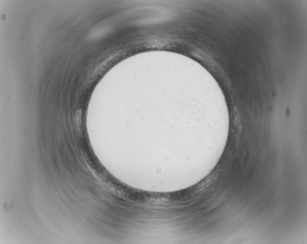 X0000052610066200507292159