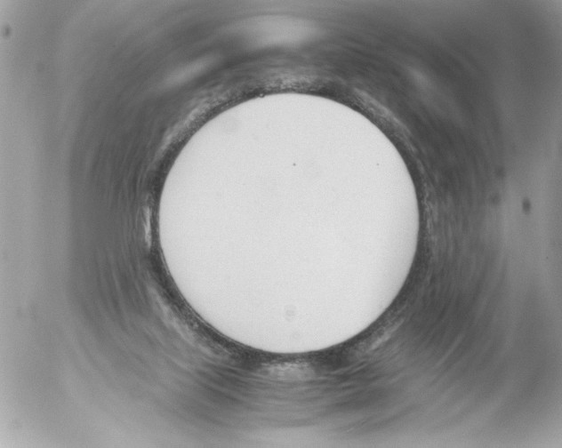 X0000052610067200507292159