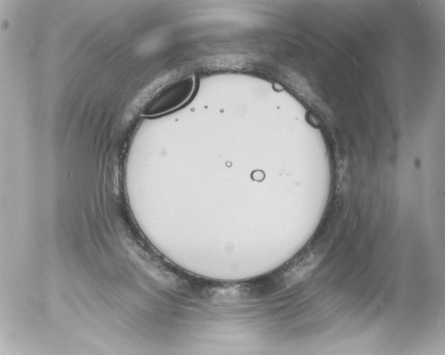 X0000052610068200507292159