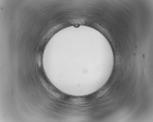 X0000052610069200507292159