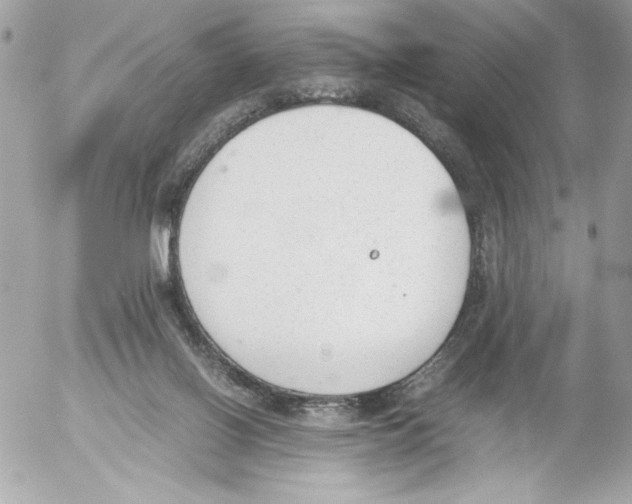 X0000052610070200507292159