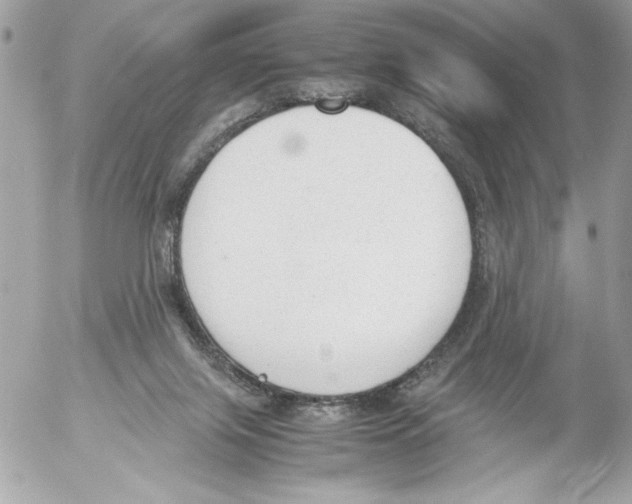 X0000052610071200507292159