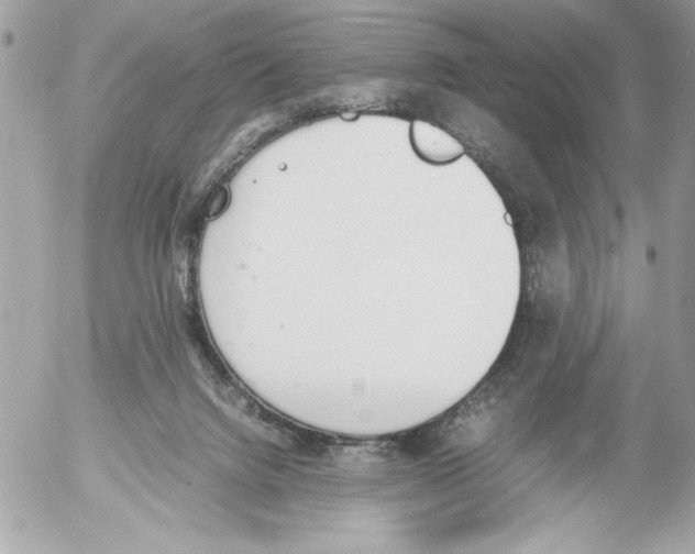 X0000052610072200507292159