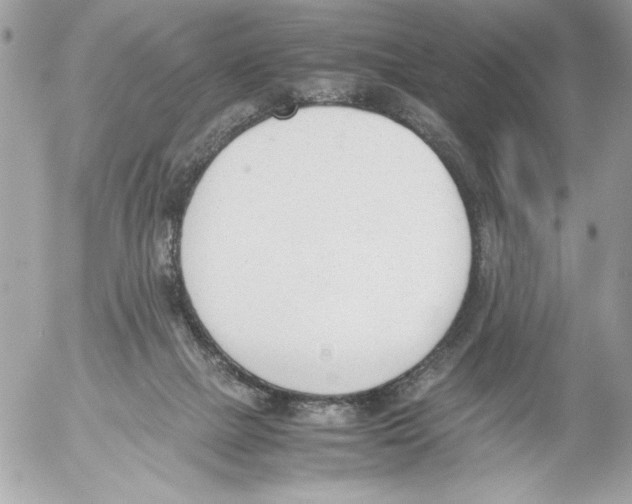 X0000052610073200507292159