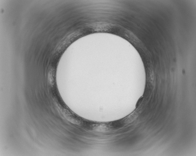 X0000052610074200507292159