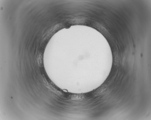 X0000052610077200507292159