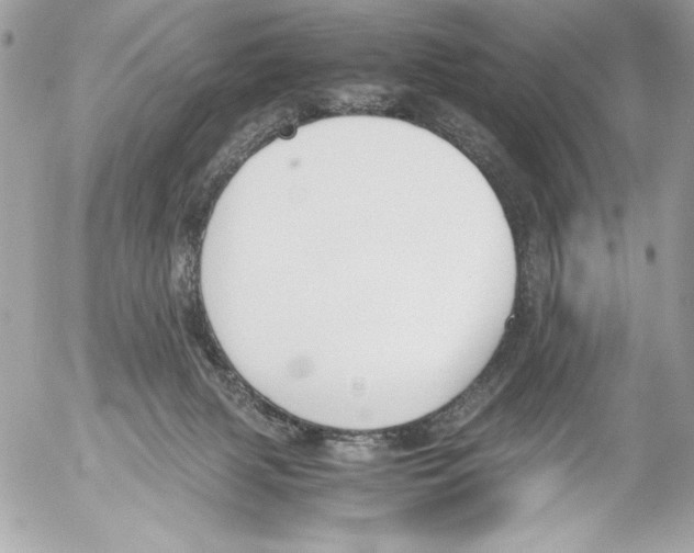 X0000052610079200507292159