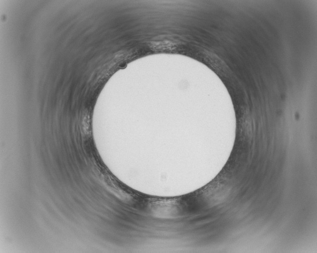 X0000052610081200507292159