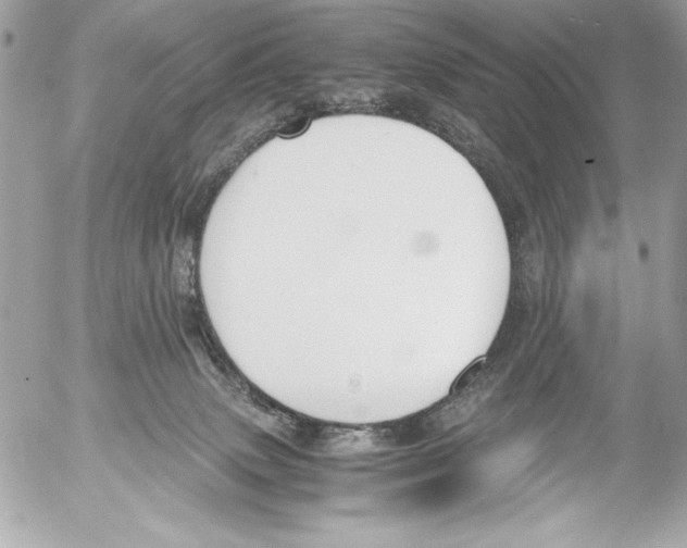 X0000052610083200507292159