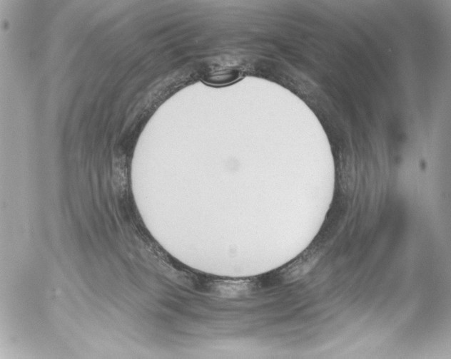 X0000052610085200507292159