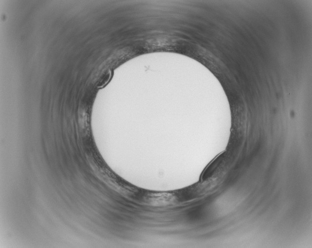 X0000052610087200507292159