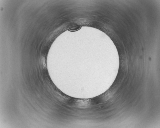 X0000052610089200507292159