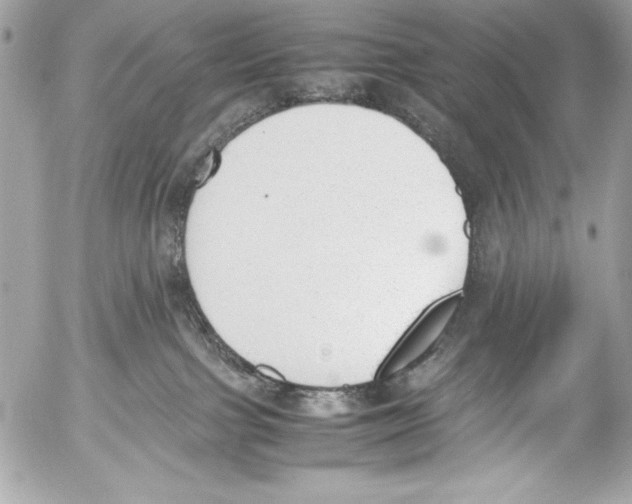 X0000052610091200507292159