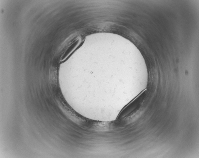 X0000052610092200507292159