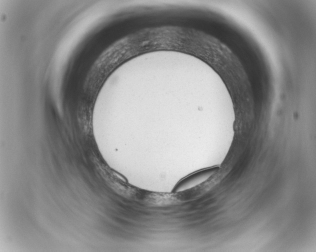 X0000052610093200507292159