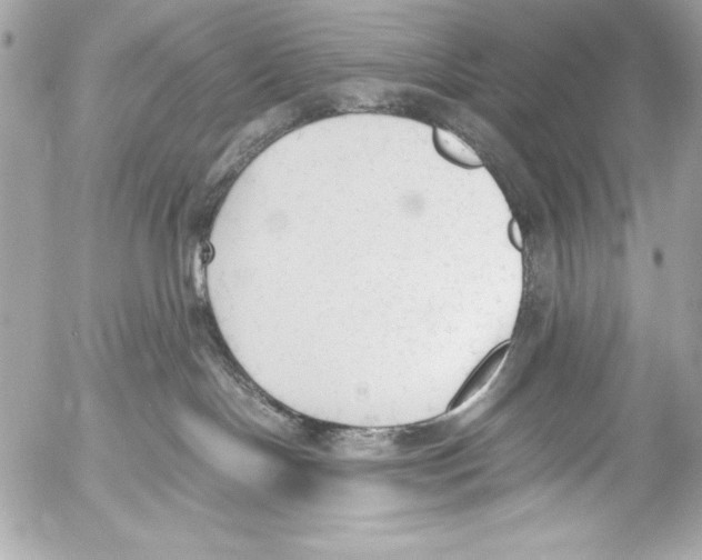 X0000052610094200507292200