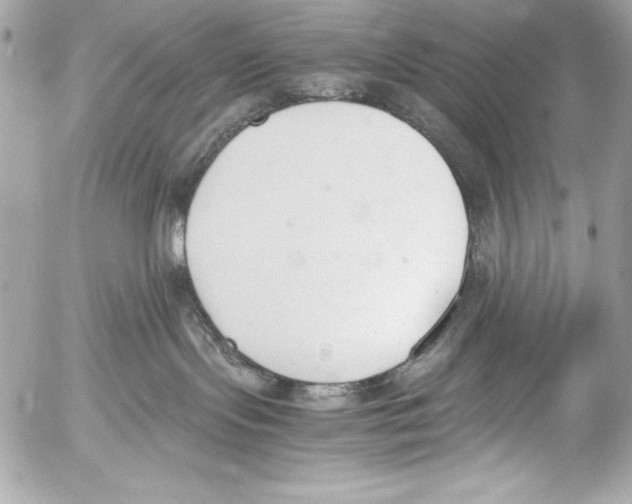 X0000052610095200507292200