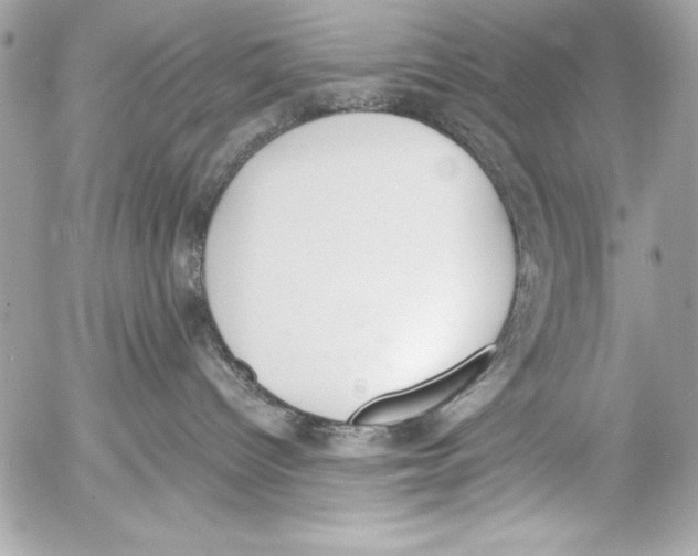 X0000052610096200507292200