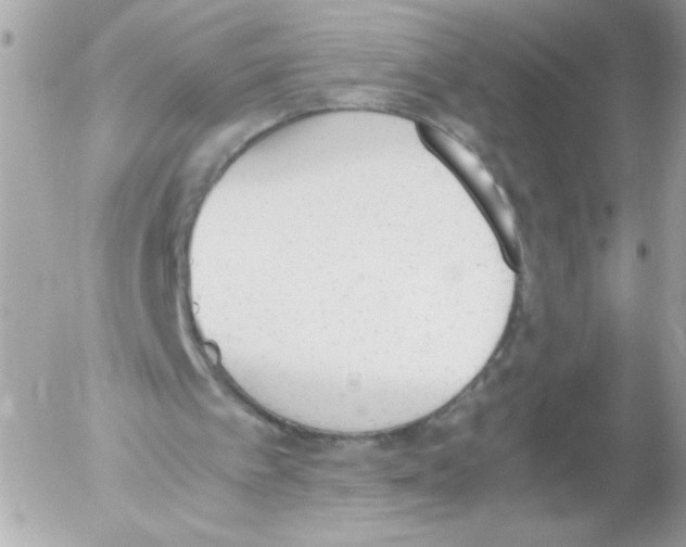 X0000052610097200507292159