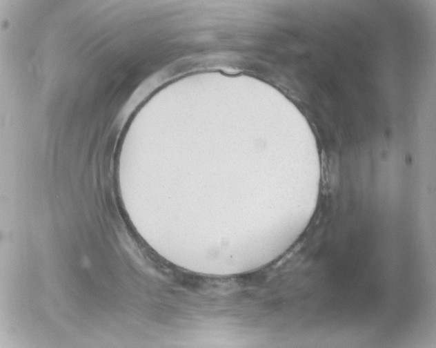 X0000052610099200507292159